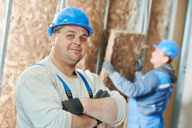 Best Insulation Installation Services in Keewatin, MN