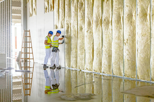 Best Insulation Installation Services in Keewatin, MN
